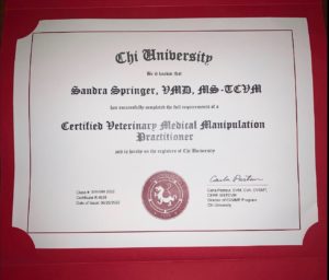 Certificate of Veterinary Medial Manipulation Practitioner issued by Chi University