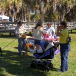 White full-coat Maltese dog rests in a blue baby-dog stroller in the green grass at the HomeyMoon Park Mutt Strutt 2011