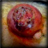 huge ugly tumor on a dog's belly